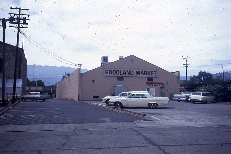 Foodland Market, rear, 1967